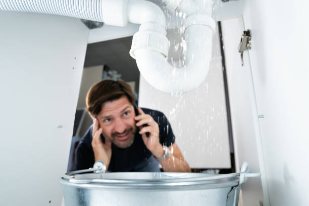 Best Sprinkler Systems  in Maysville, MO